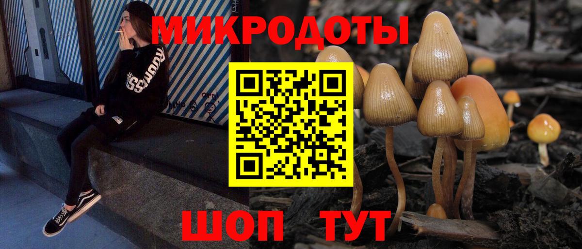 Псилоцибиновые грибы GOLDEN TEACHER  Вход с VPN  Изобильный 